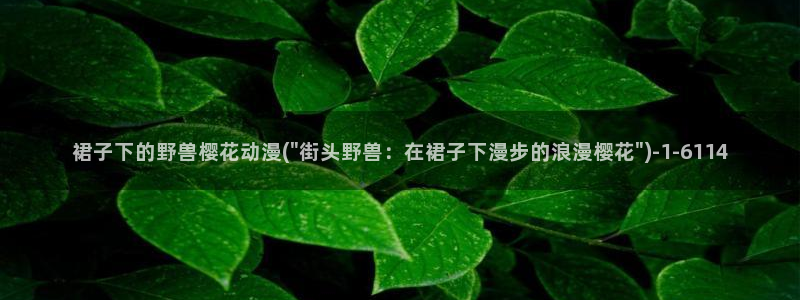 樱花动漫实时更新