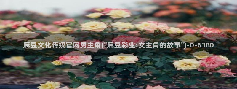 麻豆视频版权说明