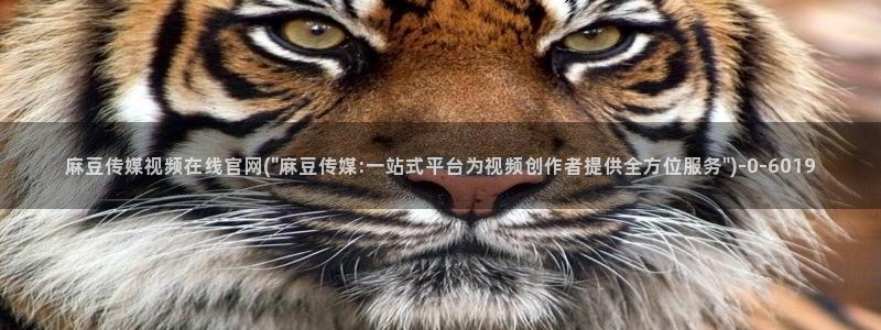 麻豆视频原创文案