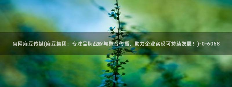 麻豆视频资讯文案：官网麻豆传媒(麻豆集团：专注品牌战略与整合传播，助力企