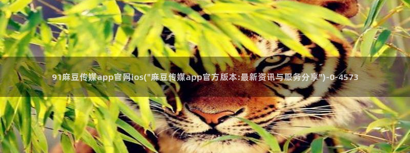 麻豆视频分类目录：91麻豆传媒app官网ios(\