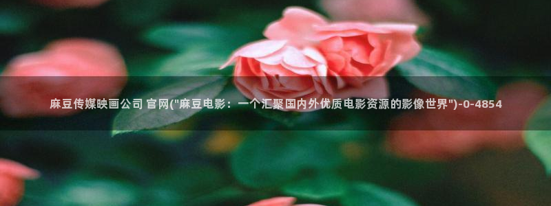 麻豆视频原创文案