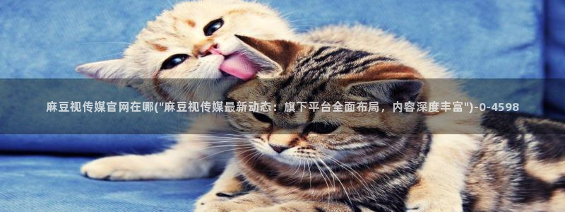 麻豆视频站关键词