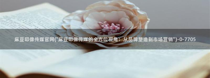 麻豆视频更新列表