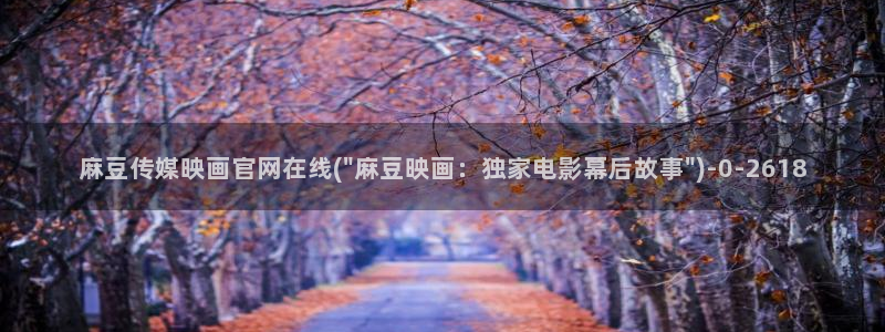 麻豆视频解说文案