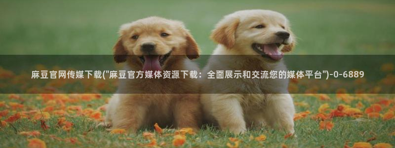 麻豆传媒演员