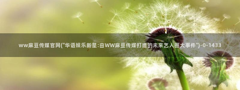 麻豆影视站
