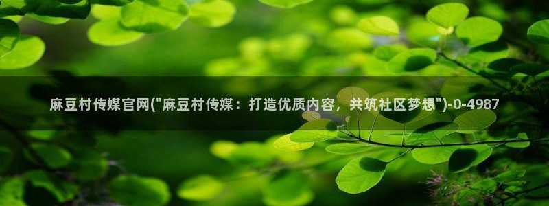 麻豆视频点评