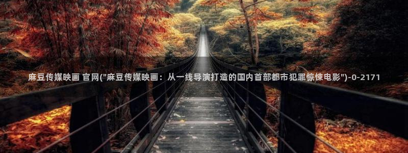 麻豆视频精准词