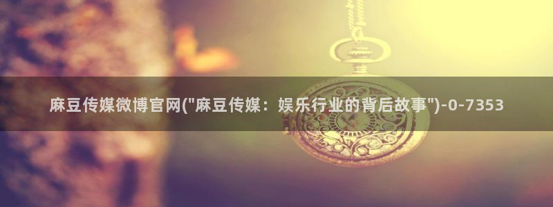 麻豆视频用户体验
