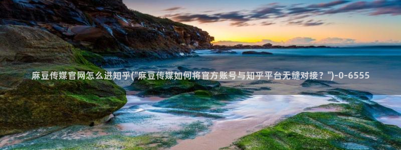 麻豆视频标题规则