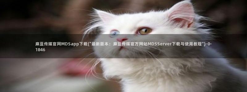麻豆视频关键词