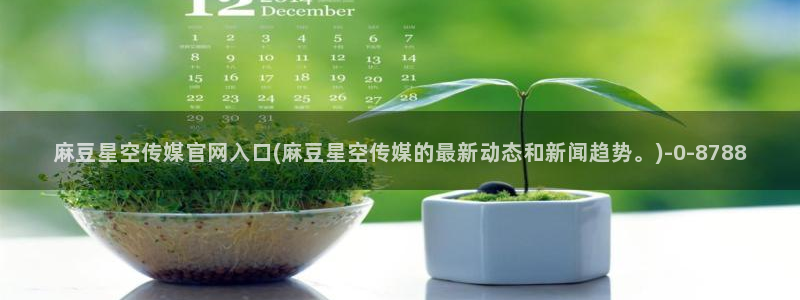麻豆视频库