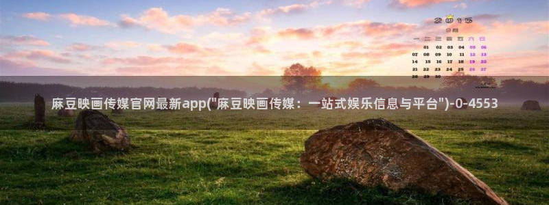 麻豆入门指南
